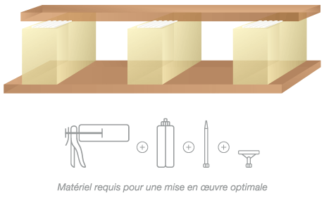Illustration de l'utilisation du produit MastiPox